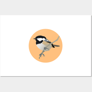 Coal Tit Posters and Art